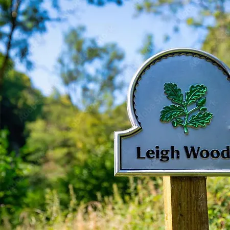 Peaceful Woodland Retreat Near Clifton, Holiday home *