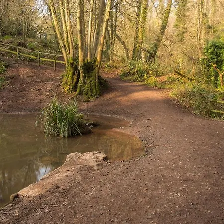 Peaceful Woodland Retreat Near Clifton, * Bristol