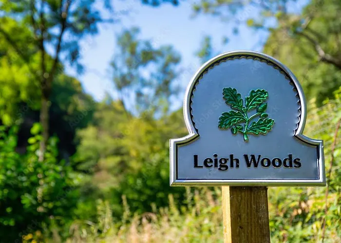 Peaceful Woodland Retreat Near Clifton, Holiday home *