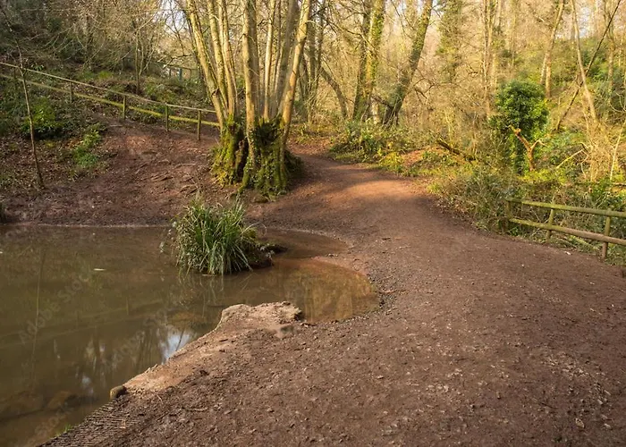 Peaceful Woodland Retreat Near Clifton, * Bristol
